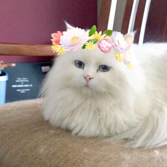 karicranberry